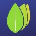 StClair Healing Arts